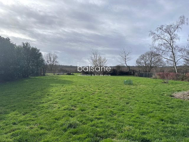 Terrain - 11 800 m²