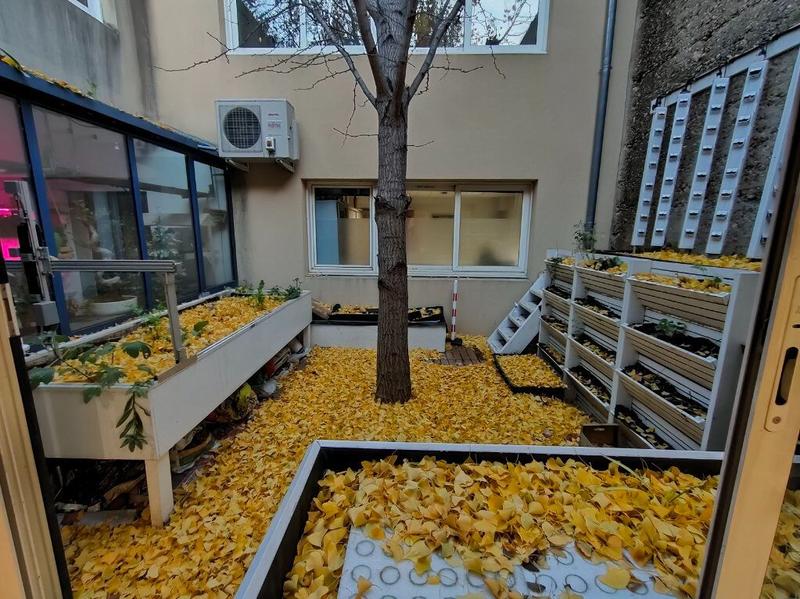 Local commercial - 194 m²