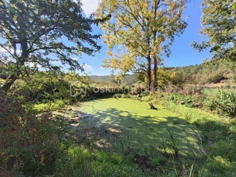 Maison en pierre - 132 m² - 6 pièces