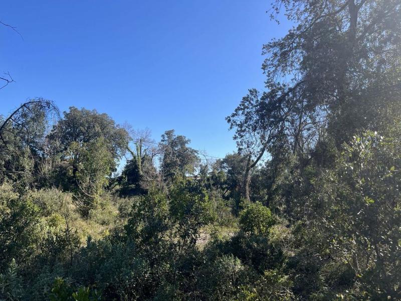 Terrain constructible - 1 050 m²