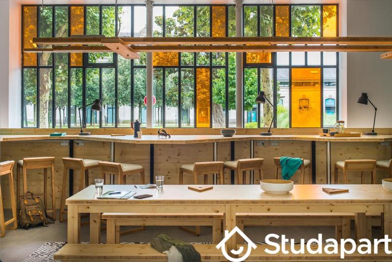 Chambre - 15 m² - 1 pièce