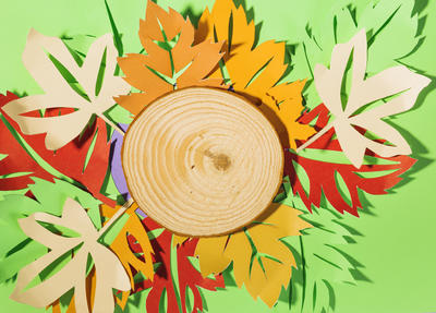 Exposition à la médiathèque