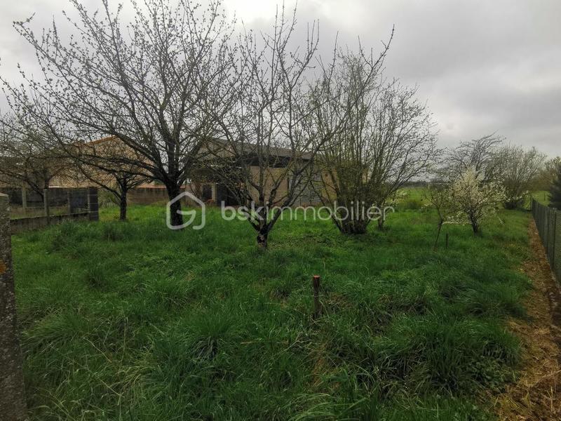 Terrain constructible - 1 086 m²