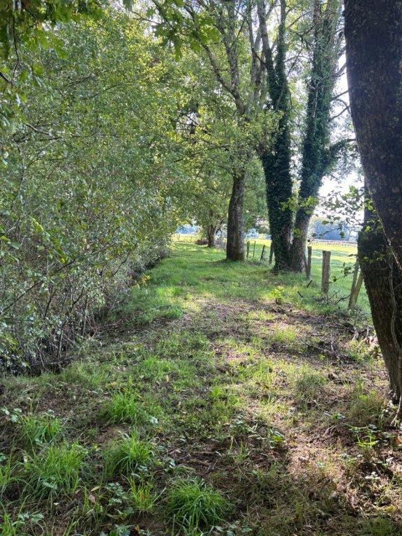 Propriété - 8 200 m² - 1 pièce