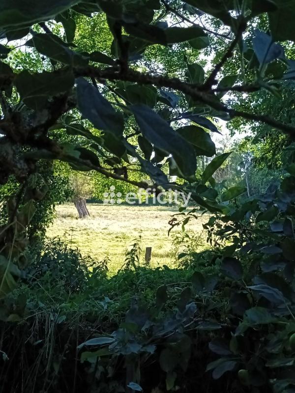 Maison bourgeoise - 156 m² - 5 pièces