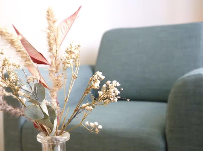 Sahuc Audrey, Psychologue clinicienne