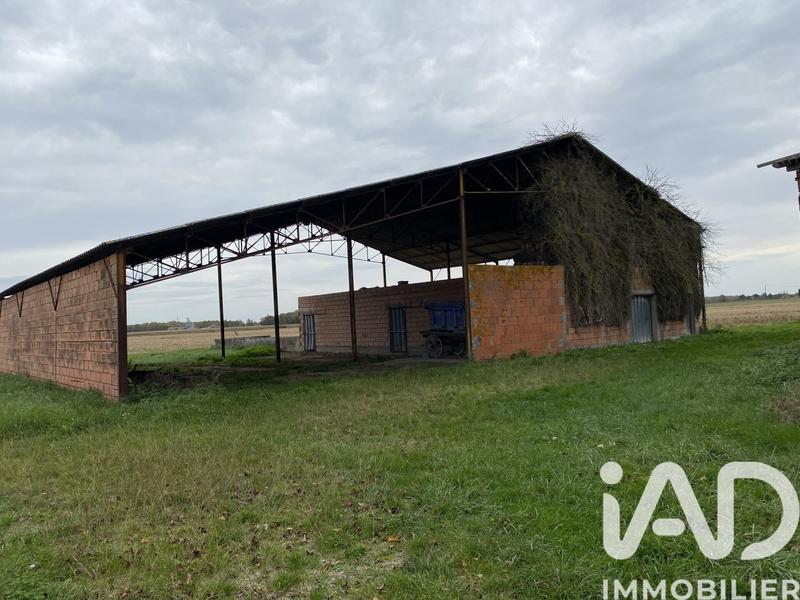 Maison - 280 m² - 10 pièces