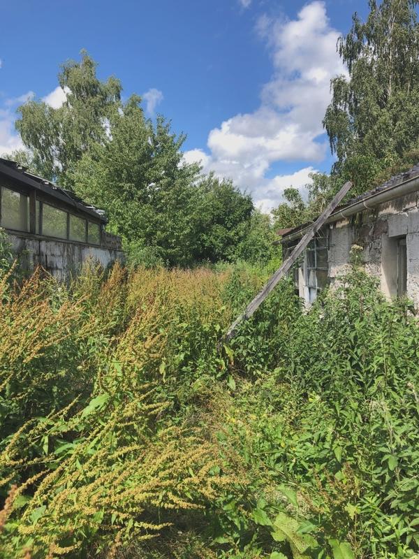 Maison - 125 m² - 7 pièces