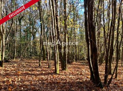 Terrain constructible - 4 563 m²