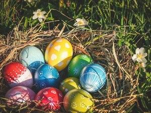 Chasse aux oeufs de Pâques