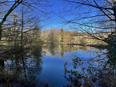 Terrain - 10 000 m²