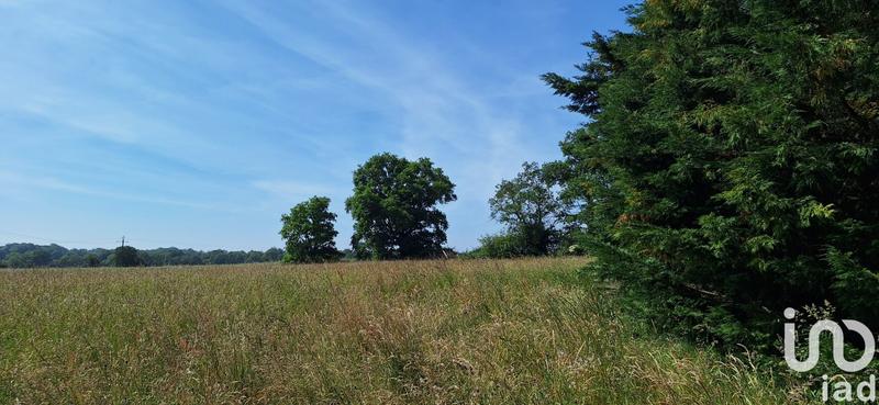 Maison de campagne - 115 m² - 5 pièces