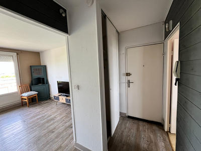 Appartement - 50 m² - 2 pièces