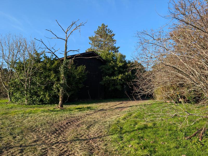 Maison en pierre - 268 m² - 7 pièces