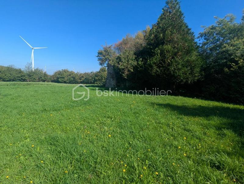 Maison - 202 m² - 7 pièces