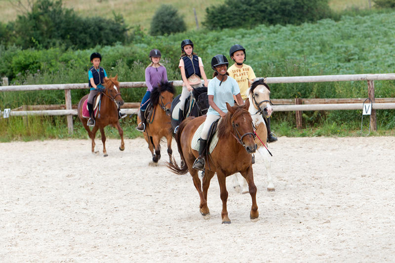 Equitation - Activités équestres - Balades - Defiplanet