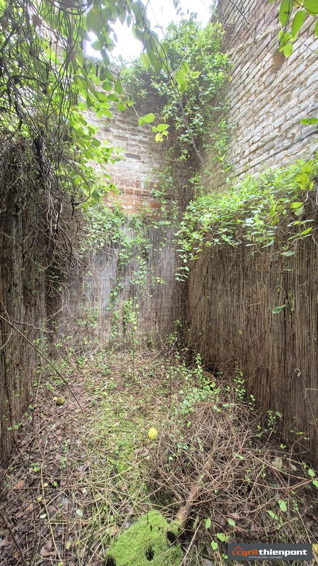 Maison - 60 m² - 3 pièces