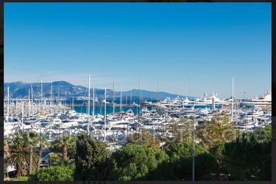 Appartement - 77 m² - 3 pièces