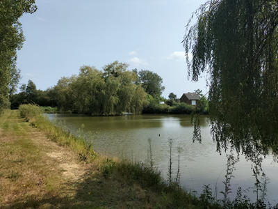 Maison - 300 m² - 12 pièces