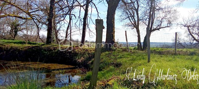 Propriété - 200 m² - 6 pièces