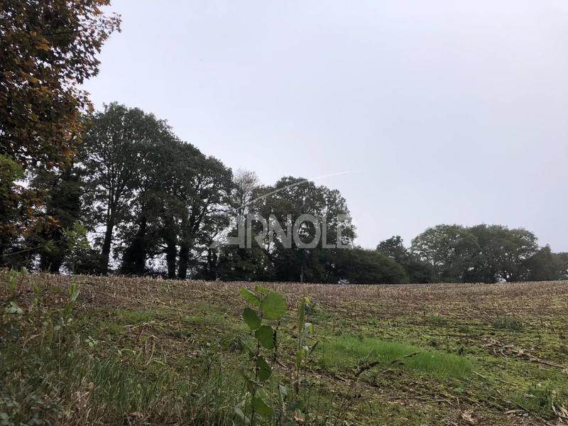 Moulin - 250 m² - 5 pièces