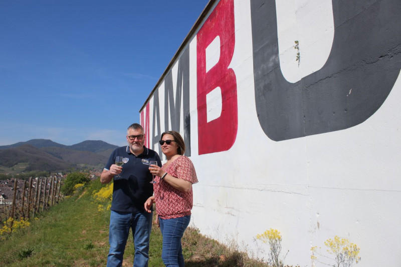 Dégustation des 7 cépages dans le vignoble - durée 3h