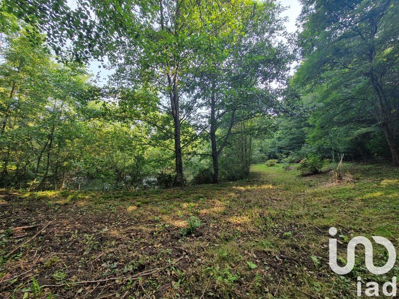 Terrain - 10 000 m²