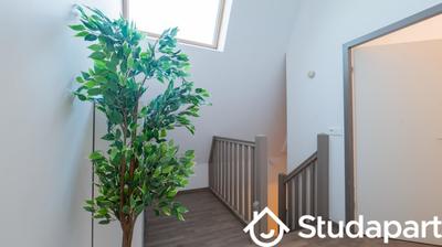 Chambre - 10 m² - 1 pièce