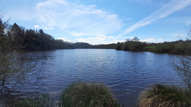 Terrain - 73 256 m²