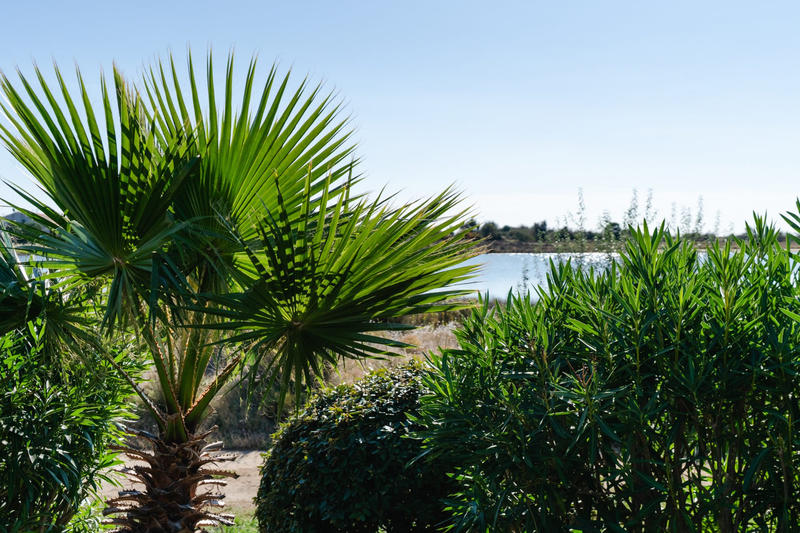 Maison - 29 m² - 2 pièces