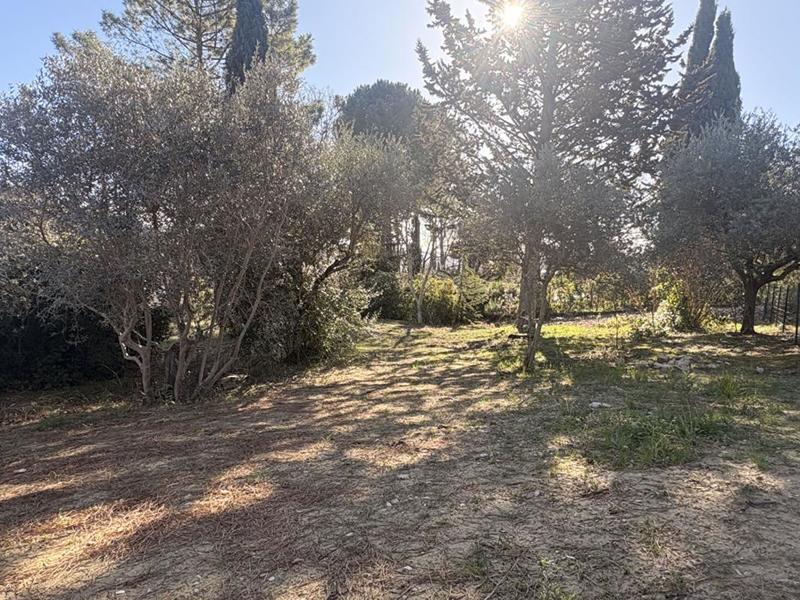 Terrain constructible - 1 013 m²