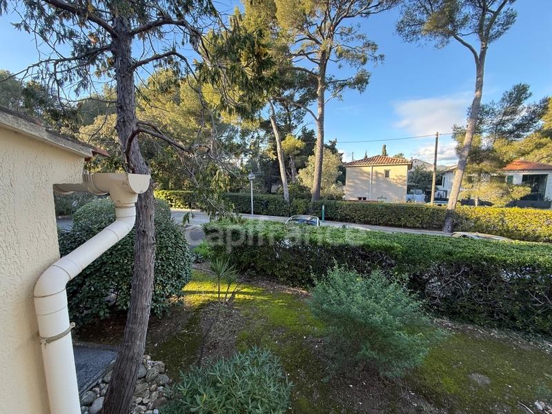 Studio - 19 m² - 1 pièce