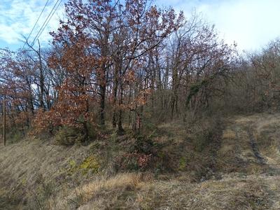 Terrain - 4 870 m²