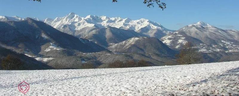 Propriété - 280 m² - 10 pièces