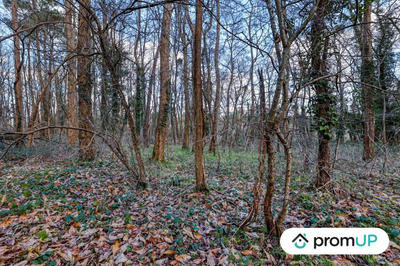 Terrain de loisirs - 770 m²