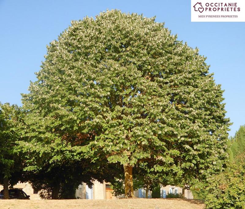 Maison de maîtres - 495 m² - 9 pièces