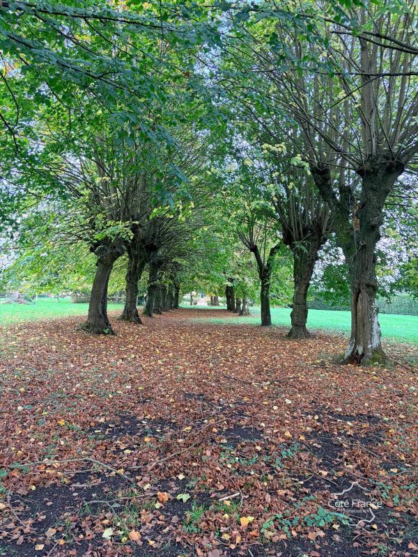 Maison - 278 m² - 14 pièces