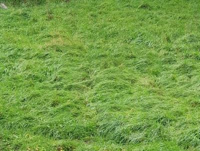 Terrain agricole - 87 608 m²