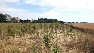 Terrain constructible - 629 m²