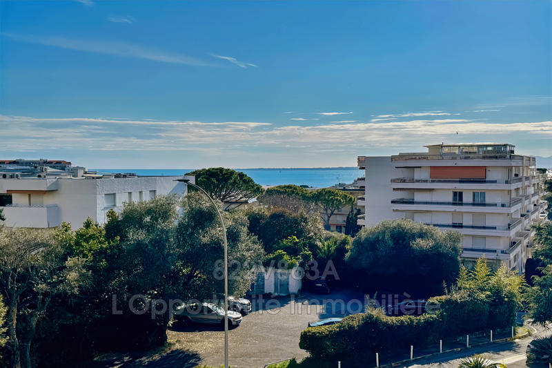 Appartement - 24 m² - 1 pièce