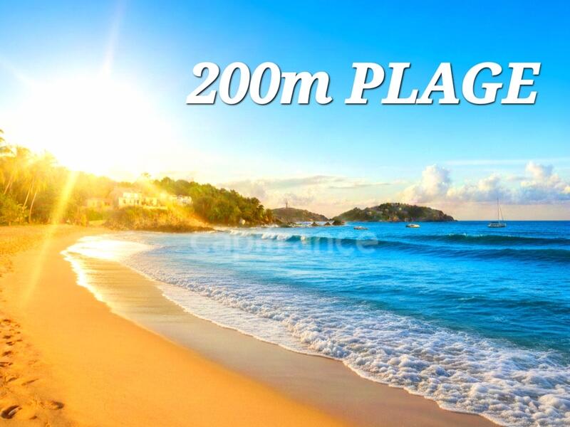 Appartement - 45 m² - 2 pièces