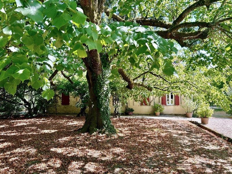 Maison - 330 m² - 13 pièces