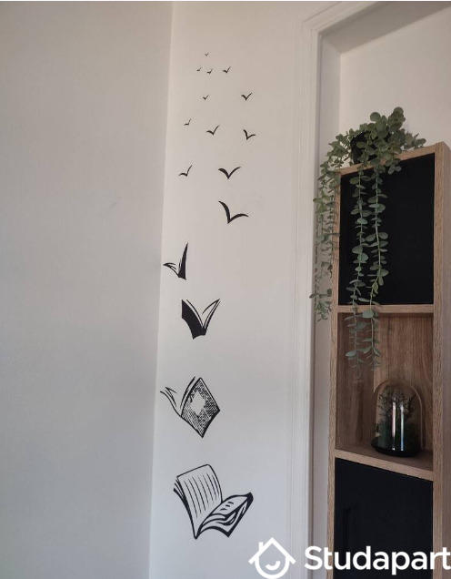 Chambre - 15 m² - 1 pièce