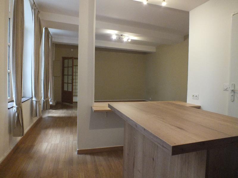 Appartement - 55 m² - 2 pièces