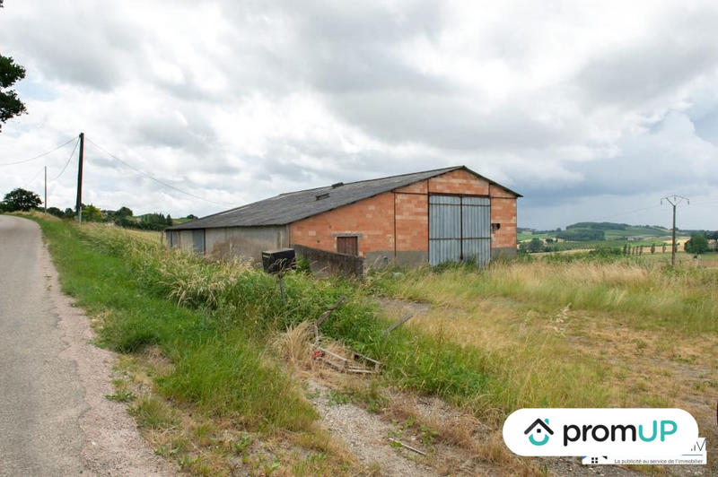 Terrain agricole - 5 800 m²