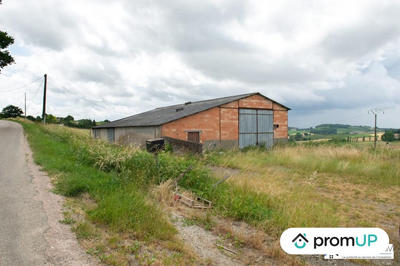 Terrain agricole - 5 800 m²