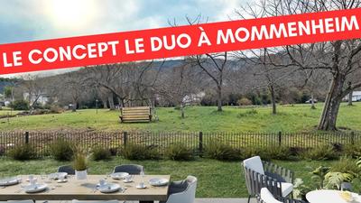 Appartement - 45 m² - 2 pièces