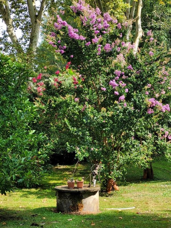 Maison - 90 m² - 3 pièces