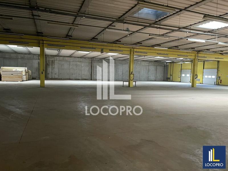Local d'activité / Entrepôt - 3 000 m²