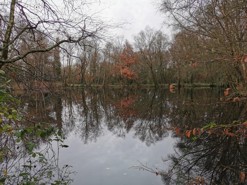 Terrain de loisirs - 18 000 m²